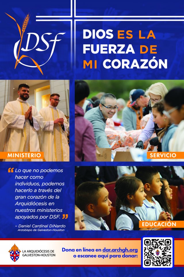 image-978008-dsf-2023-poster_spanish-9bf31.w640.jpg